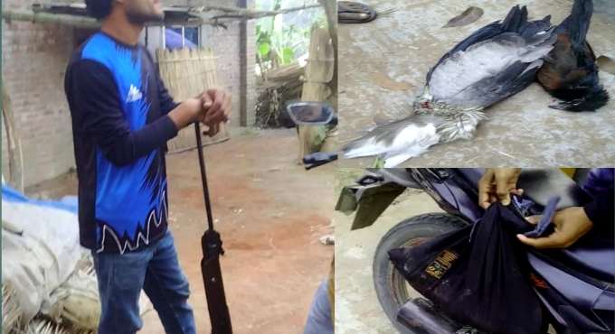 রাজশাহীর পুঠিয়ায় অবাধে চলছে অতিথি পাখি শিকার