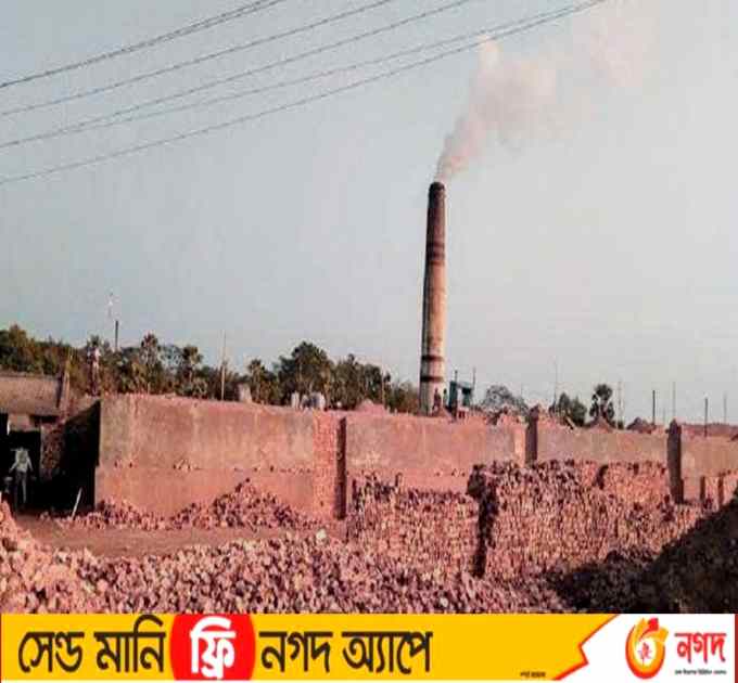 পুঠিয়ার ১৫ ইটভাটার ধোঁয়ায় কৃষি জমিতে চরম বিপর্যয় যা বললেন ইউএনও