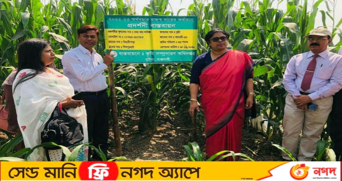 বিডি নিউজ২৩