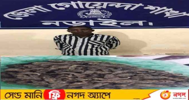 নড়াইলের খবর