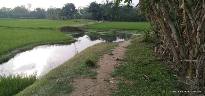 বন্যায় ক্ষতিগ্রস্ত চৌধুরীপাড়া বাজার রাস্তা মেরামত না করায় দুর্ভোগ