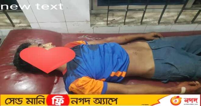 বড় ভাইকে গাড়িতে উঠিয়ে বাড়ি ফেরা হলো না ছোট ভাই সোহেলের