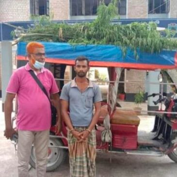 উদ্ধারকৃত গাঁজার গাছসহ পুলিশ ও আসামি 