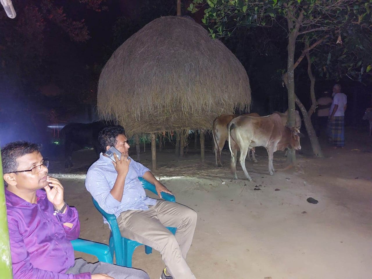 দোয়ারাবাজারে যৌথ বাহিনীর অভিযানে গরু-মহিষের চালান আটক