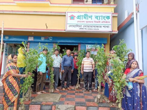 দোহালিয়া-দোয়ারাবাজার গ্রামীণ ব্যাংক শাখার উদ্যোগে চারা বিতরণ