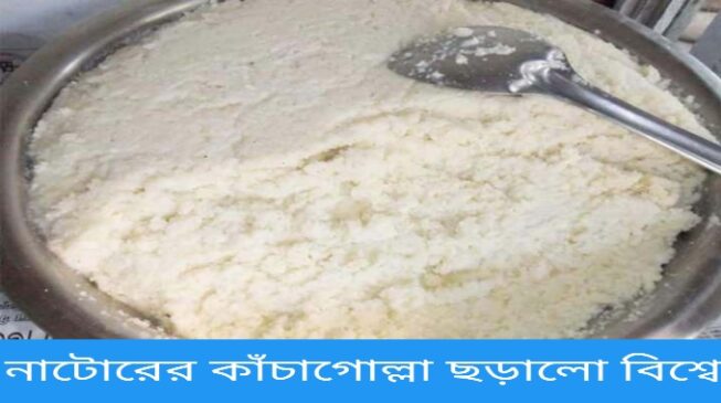 নাটোরের কাঁচা গোল্লা পেলো "জিআই" সনদ