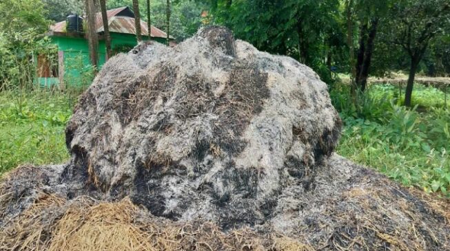 বাংলাদেশ ব্যাংকের অতিরিক্ত পরিচালক বাসায় খড়ের গাদায় আগুন দিলো দুর্বৃত্তরা!