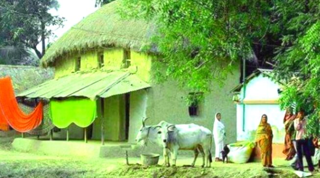 রাজশাহী ও নওগাঁর ২ গ্রামে যাচ্ছে শহরের বিশেষ সুবিধা