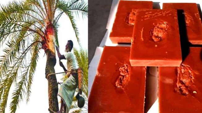 খেজুরের গুড় 