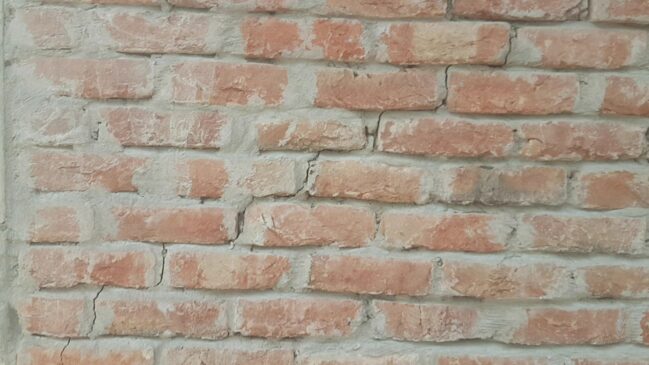 দেয়াল ফাটল শুকদেবপুর 