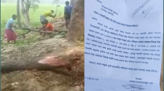 বাগমারার খবর 