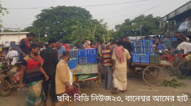 রাজশাহীর আমের খবর