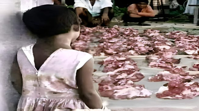 মাংসে তাদের আহার, মাংস বেচে কেউ কিনবেন চাল-ডাল, কেউ দেবেন ঘর ভাড়া