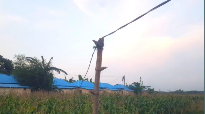 পুঠিয়ায় গরিবের আশ্রয়ন প্রকল্পের বিদ্যুৎ মিটারে চলছে পুকুর ব্যবসা!