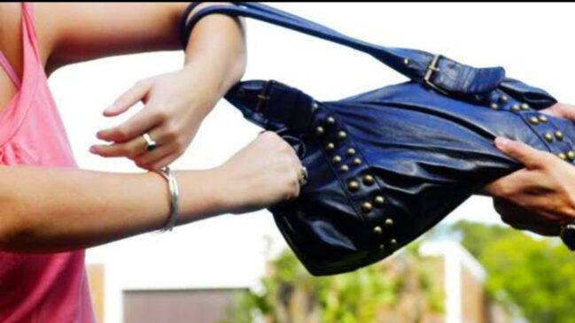 রাজশাহীর দুর্গাপুরে দিনদুপুরে নারী প্রভাষকের ব্যাগ ছিনতাই