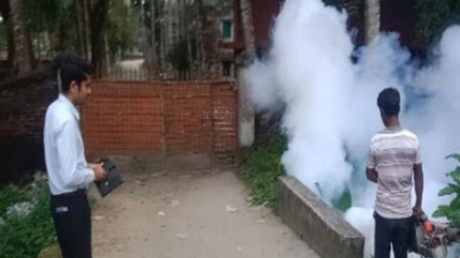 পুঠিয়া পৌরসভার মশক নিধন কর্মসূচি শুরু
